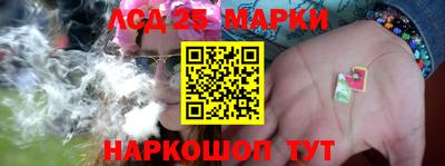 мдпв Гатчина