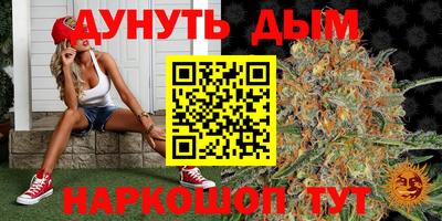 мдпв Гатчина