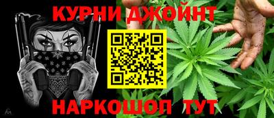 мдпв Гатчина